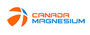 Magnesium ingot and Magnesium alloy