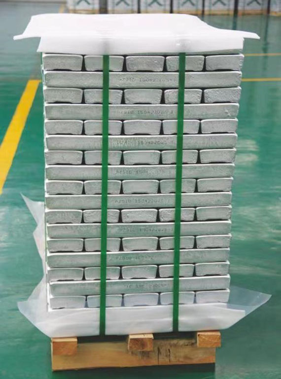 Magnesium ingot and Magnesium alloy